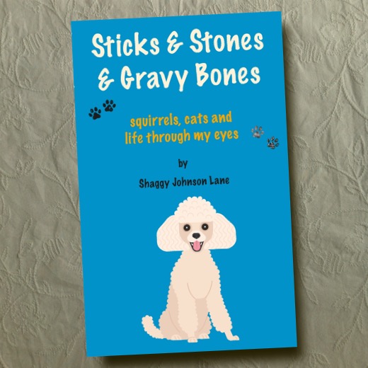 photo of book Sticks & Stones & Gravy Bones